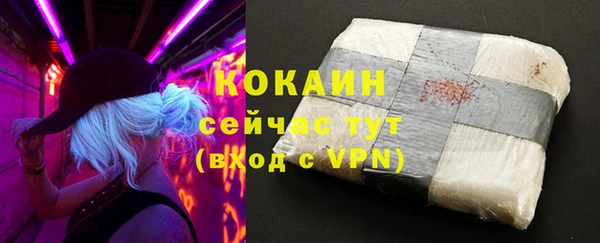 молекула духа Белоозёрский
