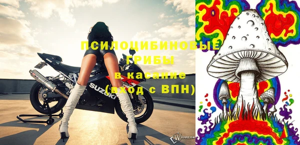 молекула духа Белоозёрский