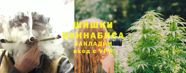 молекула духа Белоозёрский