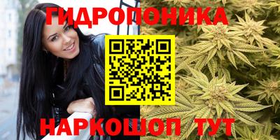 а пвп мука Аша