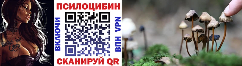 Галлюциногенные грибы GOLDEN TEACHER  купить закладку  Богданович 
