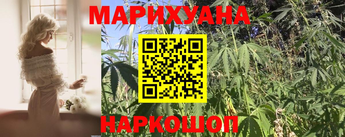 МАРИХУАНА сатива Богданович